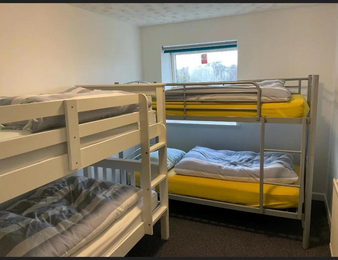 Blue Room Hostel Newquay New Quay Kültér fotó