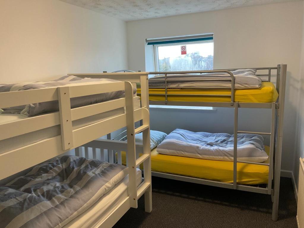 Blue Room Hostel Newquay New Quay Kültér fotó